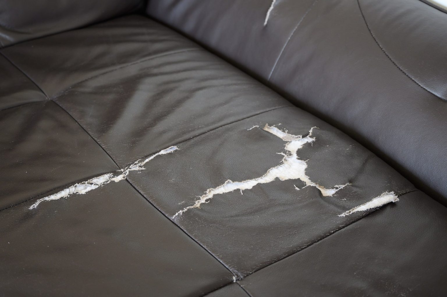 leather sofa wear and tear